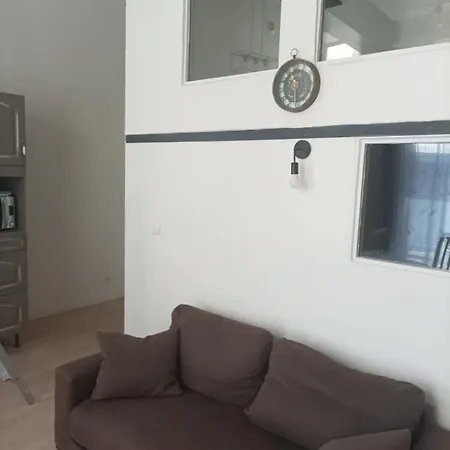 Daire Appt Climatise, 4 A 6 Couchages Tarn, Albi, Gaillac, Cordes, Wifi Gratuit, Boite A Cles, Proche Commodites Et Gare Routiere *