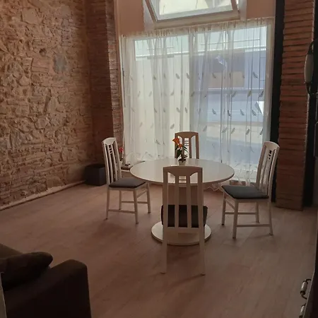 Appt Climatise, 4 A 6 Couchages Tarn, Albi, Gaillac, Cordes, Wifi Gratuit, Boite A Cles, Proche Commodites Et Gare Routiere-linge De Lit Et Toilette Offerts A Partir De 4 Nuits Apartment *