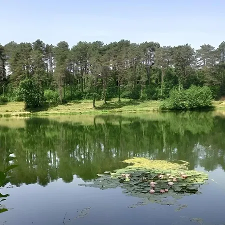 Appt Climatisé, 4 à 6 Couchages Tarn, Albi, Gaillac, Cordes, Wifi Gratuit, Boîte à Clés, Proche Commodités Et Gare Routière Appartement