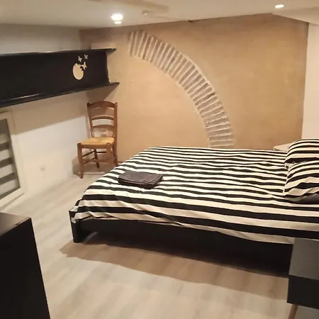 Daire Appt Climatise, 4 A 6 Couchages Tarn, Albi, Gaillac, Cordes, Wifi Gratuit, Boite A Cles, Proche Commodites Et Gare Routiere Graulhet