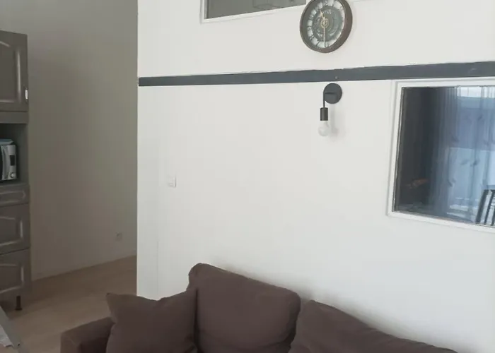 Apartment Appt Climatise, 4 A 6 Couchages Tarn, Albi, Gaillac, Cordes, Wifi Gratuit, Boite A Cles, Proche Commodites Et Gare Routiere *