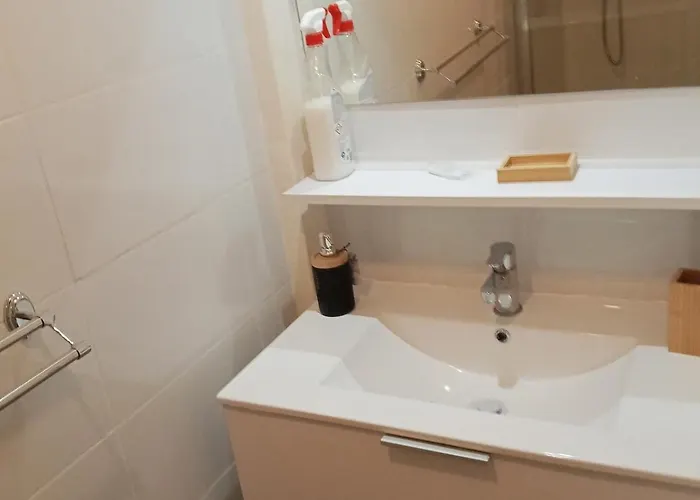 Apartment Appt Climatise, 4 A 6 Couchages Tarn, Albi, Gaillac, Cordes, Wifi Gratuit, Boite A Cles, Proche Commodites Et Gare Routiere *