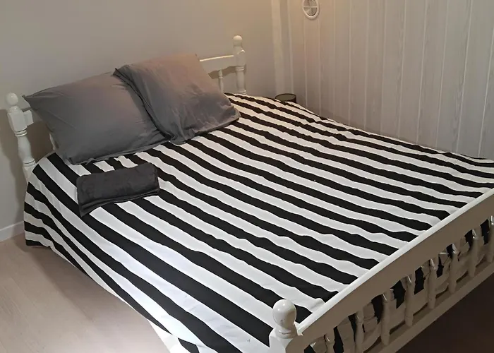 Appt Climatise, 4 A 6 Couchages Tarn, Albi, Gaillac, Cordes, Wifi Gratuit, Boite A Cles, Proche Commodites Et Gare Routiere Graulhet