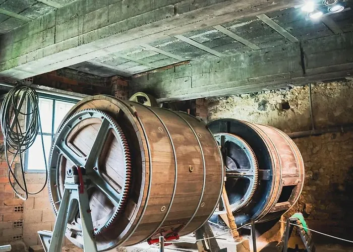 Apartment Appt Climatise, 4 A 6 Couchages Tarn, Albi, Gaillac, Cordes, Wifi Gratuit, Boite A Cles, Proche Commodites Et Gare Routiere Graulhet