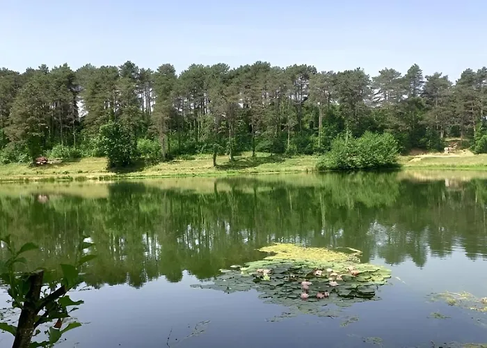 Appt Climatise, 4 A 6 Couchages Tarn, Albi, Gaillac, Cordes, Wifi Gratuit, Boite A Cles, Proche Commodites Et Gare Routiere Apartment