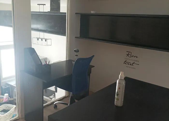 Appt Climatise, 4 A 6 Couchages Tarn, Albi, Gaillac, Cordes, Wifi Gratuit, Boite A Cles, Proche Commodites Et Gare Routiere Apartment *