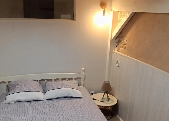 Apartment Appt Climatise, 4 A 6 Couchages Tarn, Albi, Gaillac, Cordes, Wifi Gratuit, Boite A Cles, Proche Commodites Et Gare Routiere